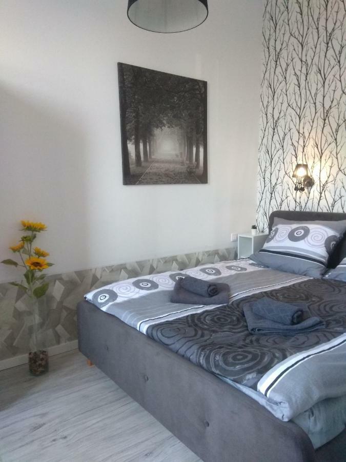 Apartment Orawska